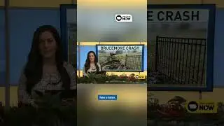 Video captures audio of driver crashing into mansion fence, police response