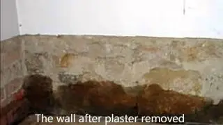 Rising Damp Causes and Cure