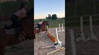 😇🐴 Lovely Jumping Lesson On Mister Filo #shorts #horse #horseriding