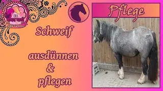 [PFLEGE] Schweif ausd&uuml;nnen & pflegen