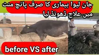 Dangerous disease ka sirf 5mint me ilaj! New injection discovery!new treatment with before and after