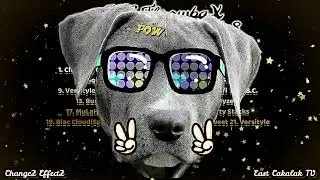 ENC ThrowbaX video mixtape Vol.  8 (NC Underground Music)
