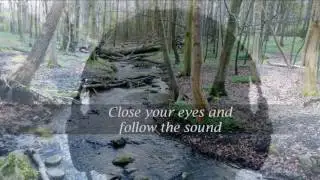 Transcendent Sound - Demo