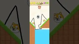 Save The Dog Game Level 78