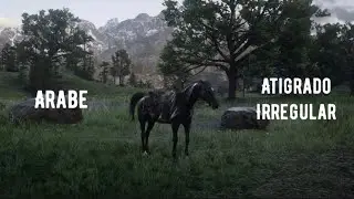Como encontrar el caballo 