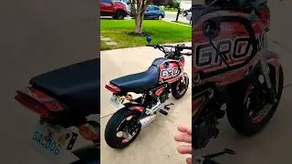 Is the Honda Grom still popular?