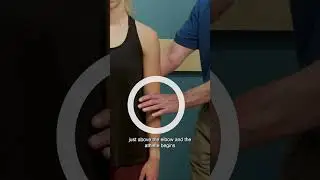 How To Perform Manual Resisted Test For The Supraspinatus Muscle