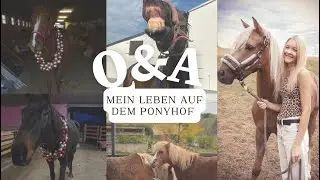 🐴 Q&A &uuml;ber mich, meine Pferde & mein Leben auf dem Ponyhof 🐴