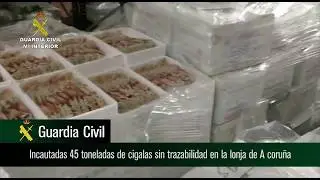 Operación Pinza Roja. Operaciones de la Guardia Civil. A Coruña