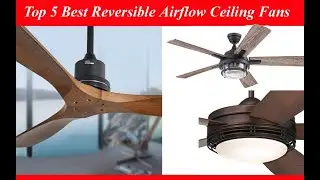 Top 5 Best Reversible Airflow Ceiling Fans | High Quality Reversible Airflow Ceiling Fan