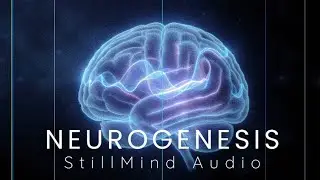 Neural Gateway Protocol: 30 Minute SMR Entrainment for Enhanced Cognitive Performance