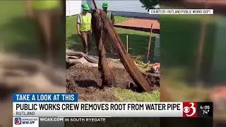 Rutland crews remove mega root cluster from stormwater pipe