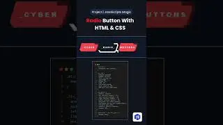 Radio Button With HTML & CSS
