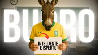 Faça essas 5 coisas pra não ser mais um brasileiro burro