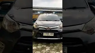 CALYA G MATIC 2017