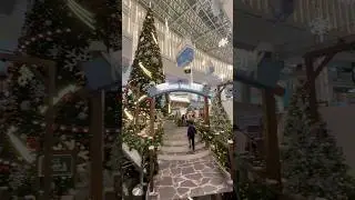 #winter #xmas #celebration #youtubeshorts #shortsfeed #viralshort #trendingshorts #beautiful #wow