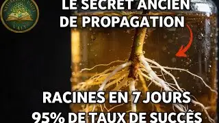 Le secret pour multiplier les plantes sans produits chimiques. Pourquoi est-il caché ?