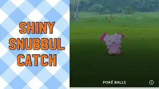 Shiny snubbul catch
