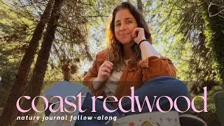 Watercolor Nature Journaling: Coast Redwood (Follow Along)