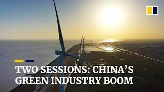 Two sessions: How China's environmental policies are giving a boost to green industries