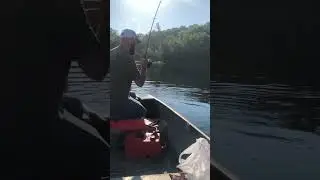 When pike attack! 🤣😂😅#bigfish #fishing #unexpected #michiganfishing #pikefishing