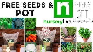 Nurserylive free offer/nursery live free seeds+pot offer/nurserylive/nurserylive free plants