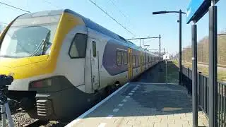 Flirt vertrekt van station weert en virmm komt aan op station weert #train #railway #trainspotting