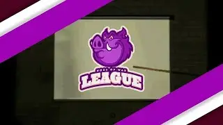 Introduction To Competitive Hogs Of War