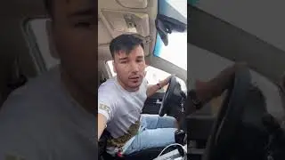 Shoqqi vines gaiga tushdi