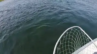 Lake Trout Fly Fishing Aylmer Lake Lodge Northwest Territories Canada