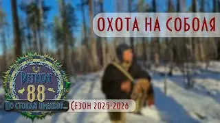 Регион 88 | Сезон 2025 - 2026 | Охота на соболя с Эвенкийскими аборигенными лайками | ч.4