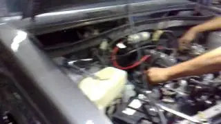 4k starlet 2