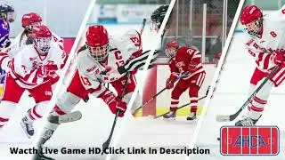 Buffalo Beauts Vs Toronto Six | PHF Premier Hockey Federation Women`s