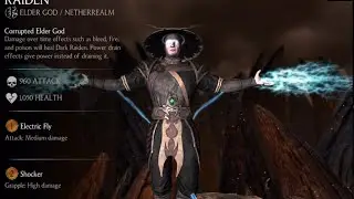 Mortal Kombat X - Dark Raiden Challenge Full Normal Difficulty