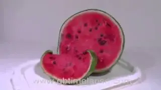 Rotting watermelon  GBTimelapse