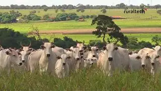 Ruraltech Produtos Agropecu&aacute;rios - Comercial TV Integra&ccedil;&atilde;o 2017