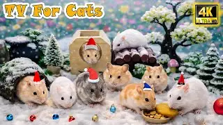 🔴 Calming CAT TV－Fast Mouse Play to Lift Cat Mood & Calm Anxious Cats😸Soothing Video for Lonely Cats