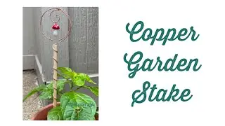 Copper Garden Stake