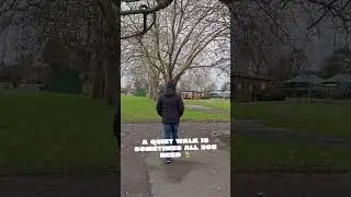 A slow walk, open skies, and birds minding their own business 🕊️ #shorts #uk #london #park #winter