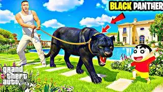 Franklin Found A Dangerous Hungry BLACK PANTHER In GTA 5 !!