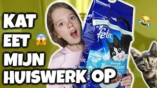 LEVEN ZONDER KATTEN VS LEVEN MET KATTEN [SKETCH + BLOOPERS] - Broer en Zus TV #491