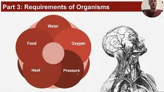 Anatomy: Chapter 1 PPT (Part 1: Organization to Homeostasis)