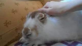 DSCN0149