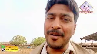 Al Khaleej Cattle Farm 🐂 | Open Area Vlog & Beautiful Eid Qurbani Animals | Farm Update&rdquo;