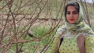 Cooking the most delicious Iranian stew with pomegranate|Nardoon stew|country life