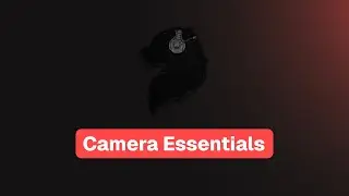 The Ultimate Guide for Wolfcam | Ep.02 (Camera Essentials)