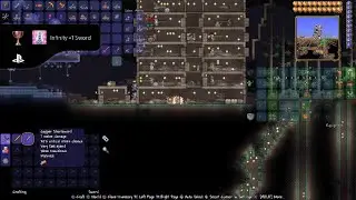 Terraria ~ Infinity +1 Sword Trophy