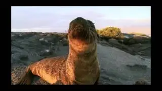 Motor Yacht Grace - Galapagos Islands