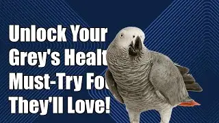 Unlock Your African Grey's Health: Must-Try Foods They&rsquo;ll Love!
