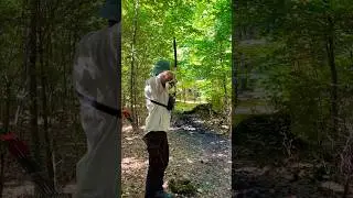 SPIDER #bogensport #hunting #bowhunting #archery #spiderbows #archeryhunter #arrow #nature #spider